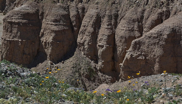 badlands-type terrain of the state park